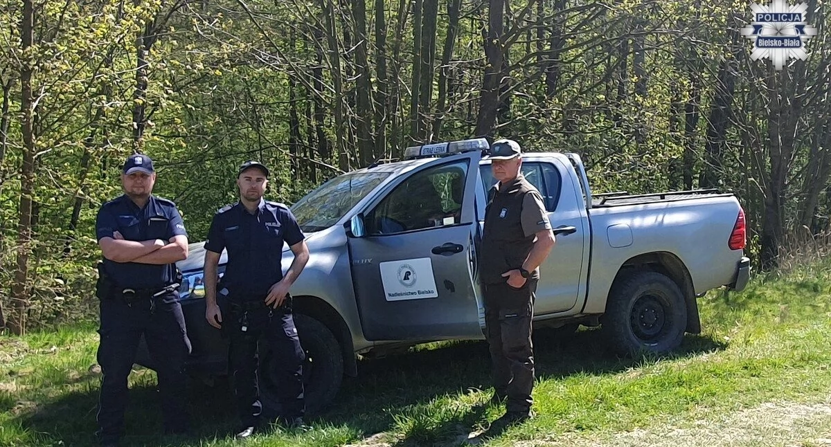 Policja, Wspólne działania Policji Straży Leśnej - zdjęcie, fotografia