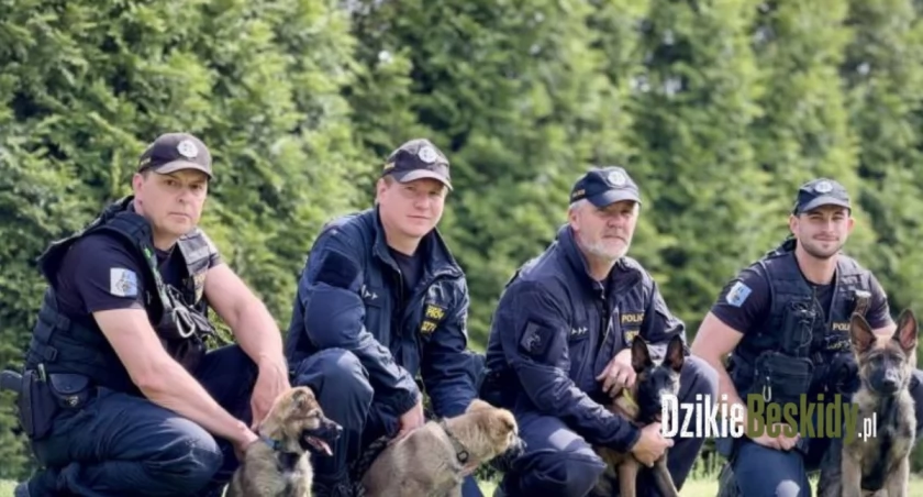 fot.https://policie.gov.cz/