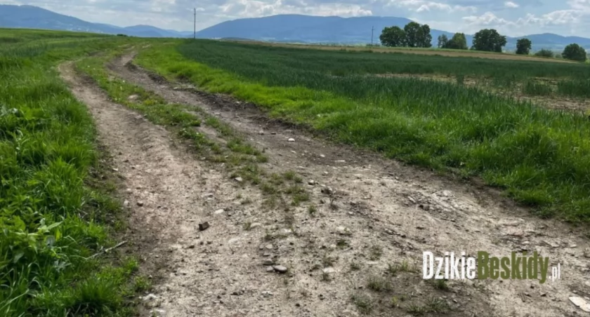 Fot: UW Goleszów