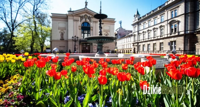 Fot: Urzędu Miejskiego w Bielsku-Białej