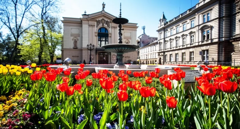 Zdj Bielsko Biała.pl