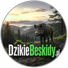 Dzikiebeskidy.pl