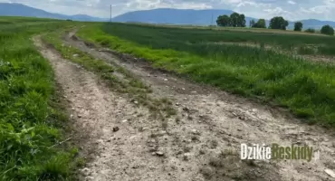 Remont ulicy Zapłocie w Godziszowie z dofinansowaniem z Funduszu Ochrony Gruntów Rolnych
