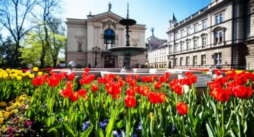Bielsko-Biała rozpoczyna procedurę ograniczeń w nocnej sprzedaży alkoholu