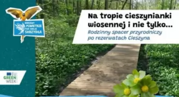 Rodzinny spacer przyrodniczy w Cieszynie odkrywa lokalne skarby natury